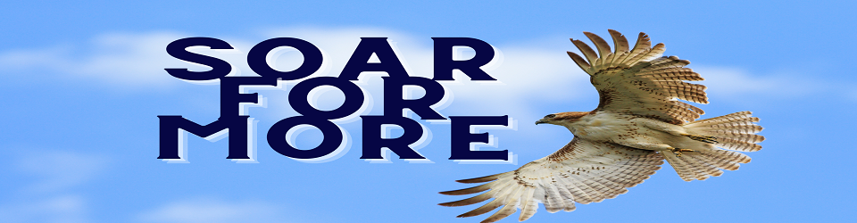 Snowcrest Skyhawks - theme SOAR for More